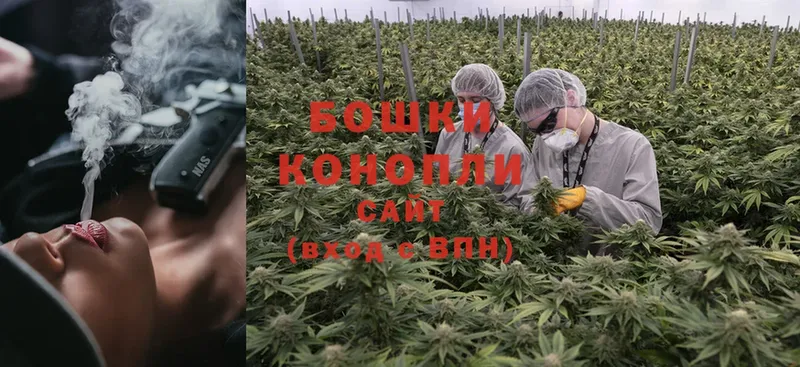 blacksprut ССЫЛКА  как найти закладки  Кемерово  Марихуана White Widow 